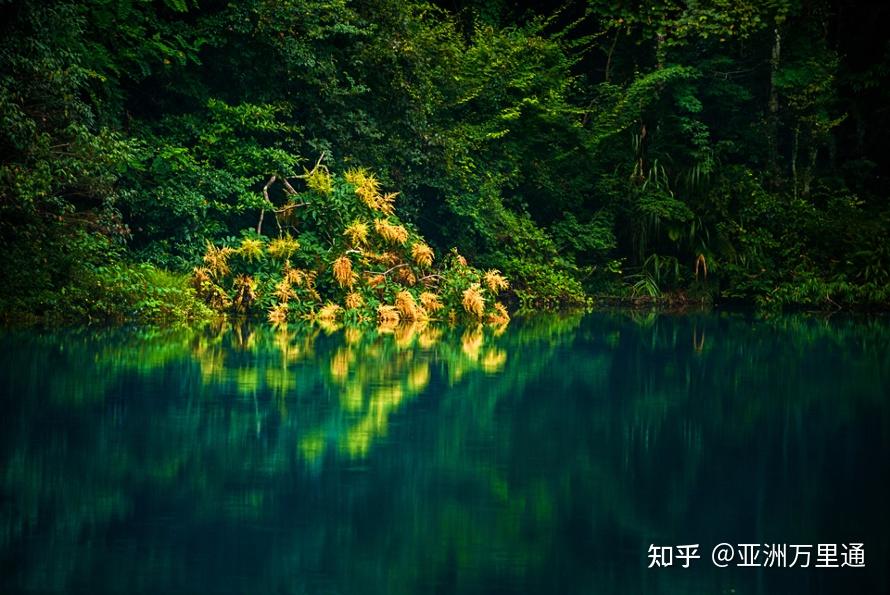 与自然美景的亲密之旅，寻找内心的平和之地最新故事分享