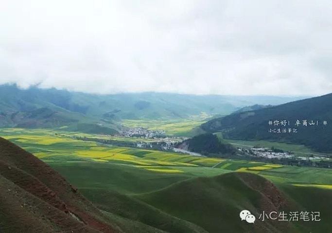 祁连山最新动态探索，小巷深处的独特风情