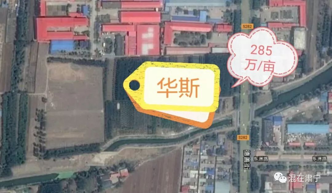 肃宁县最新动态更新