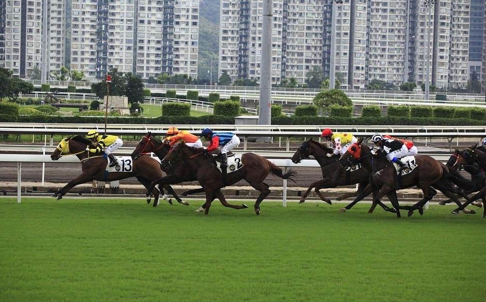 澳门开马场直播,实地验证实施_MDC51.411潮流版