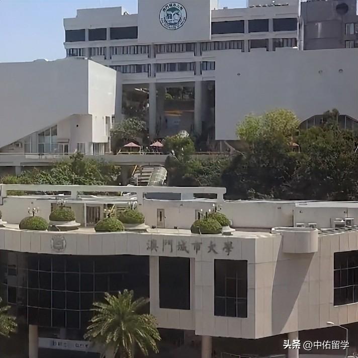 澳门2024开奖记录,工学_YZK51.939炼肉境