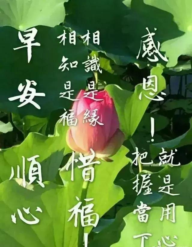 最新流行歌曲，友情与家的温馨旋律