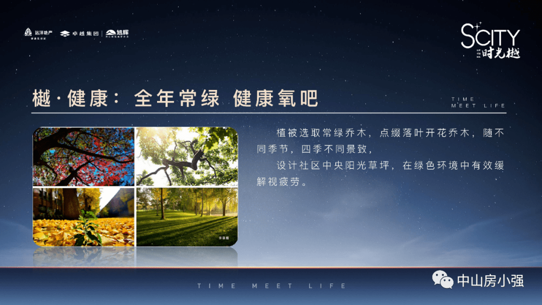 一建最新政策深度解析与观点阐述