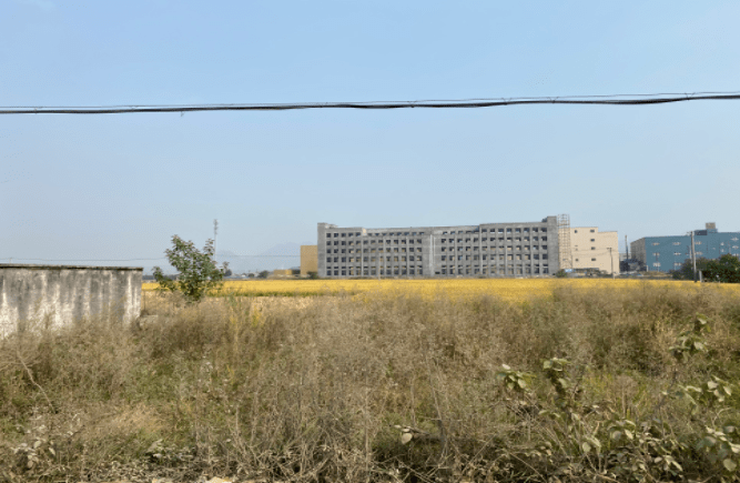 藁城最新土地招拍挂,藁城最新土地招拍挂背后的趣事