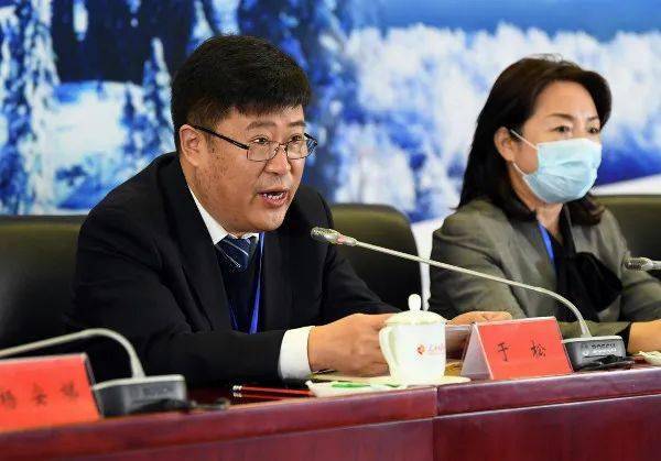 省委卞鹰最新动态，日常趣事与情感纽带揭秘