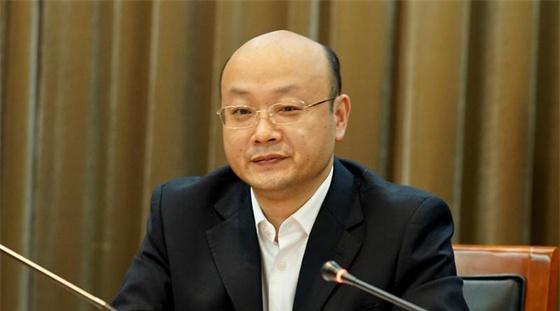 罗辉新华社最新职务揭秘与详细步骤指南