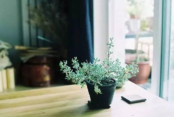 毕节市人事调整最新动态，温馨日常故事揭晓