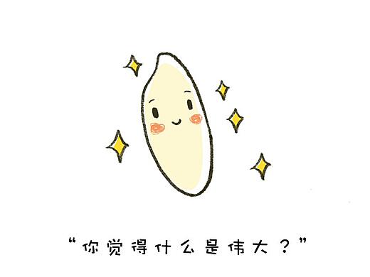 大米最新——温馨日常故事分享