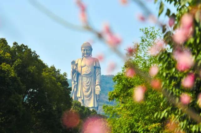 镨钕最新价格，与自然美景的邂逅与内心平和之旅的探寻