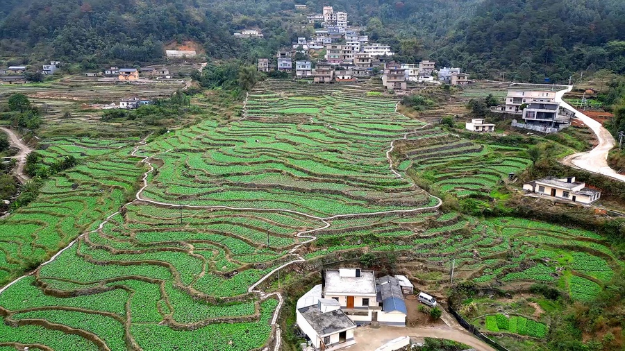 怀化最新冠状病毒动态与探索自然美景之旅