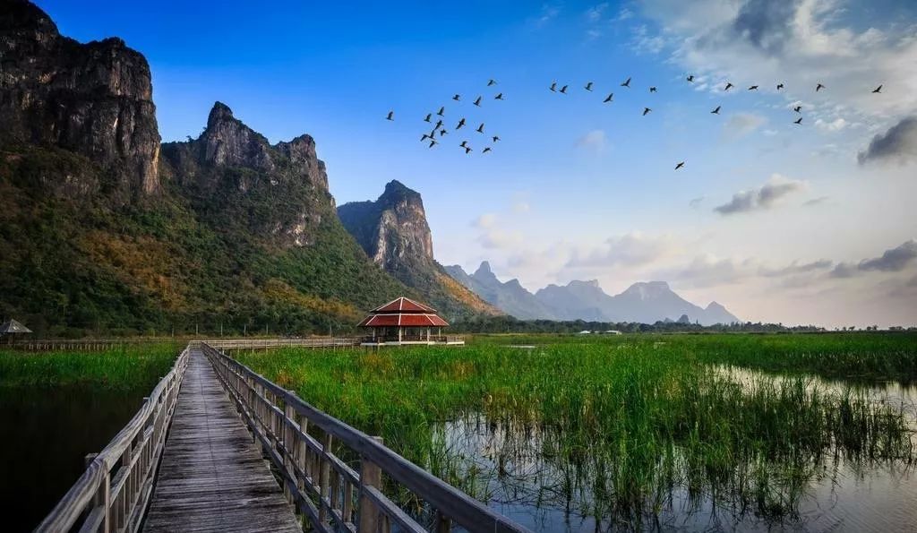 映客最新版，探索自然美景，寻找内心平和的轻松之旅
