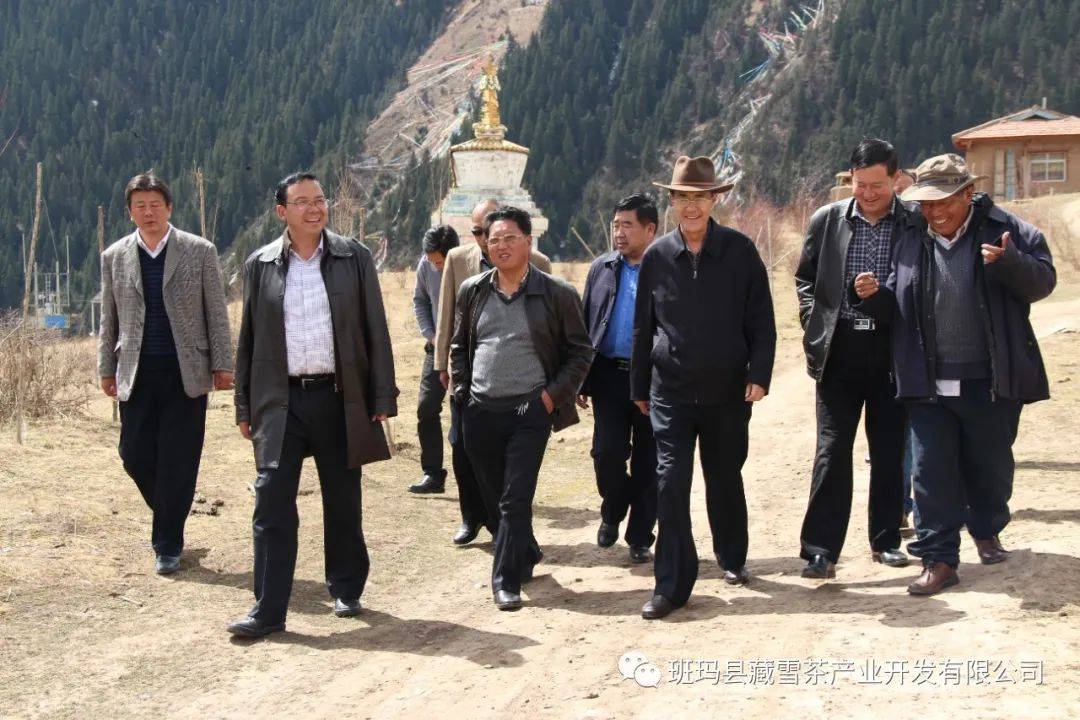 青海省委领导层引领探索自然美景之旅