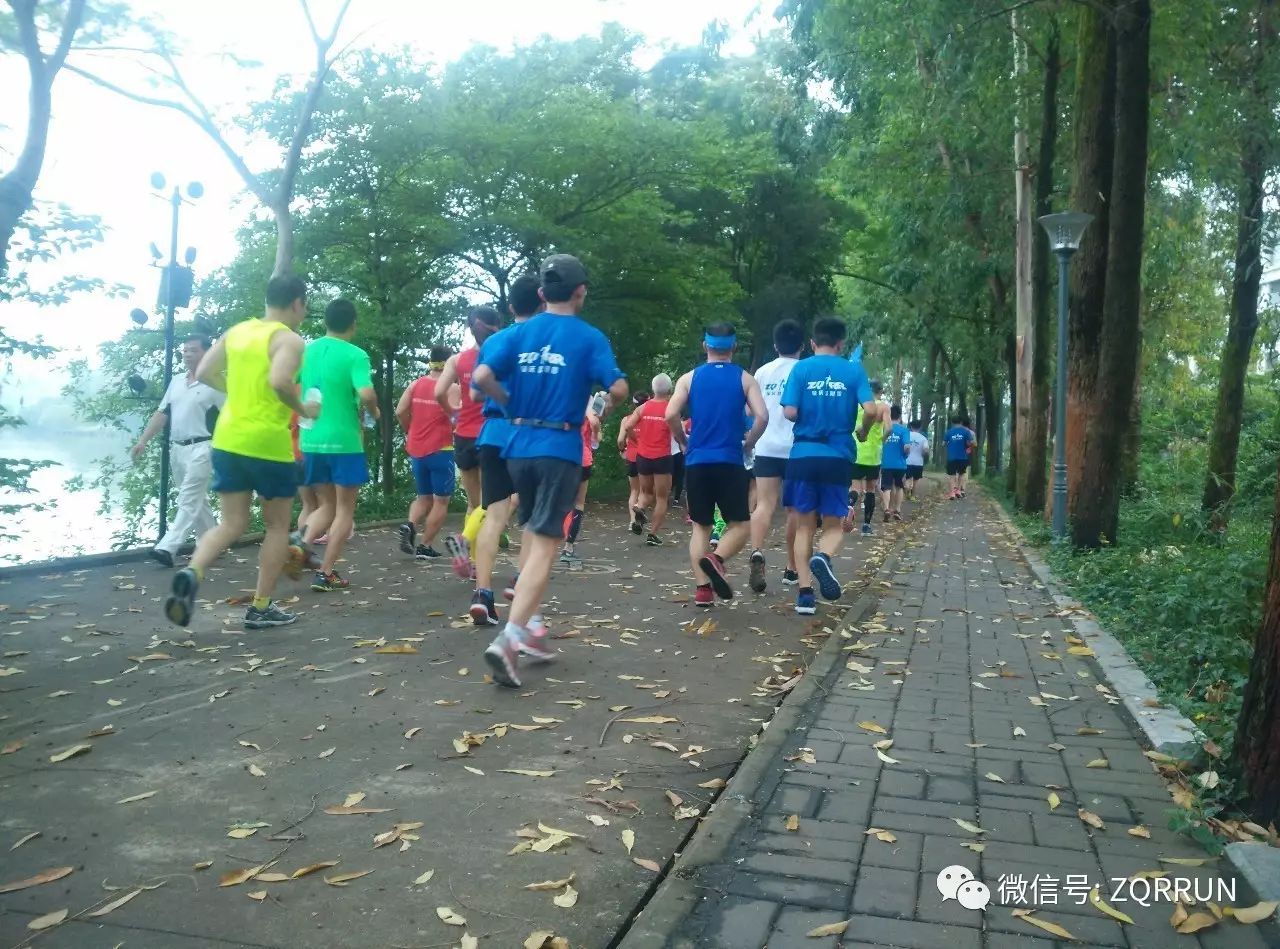 星湖广场最新动态揭秘，自然美景之旅，探寻内心平和宁静之道