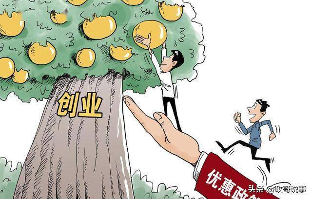 农村最新创业，机遇与挑战并存的征程